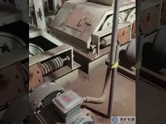 Гранулятор ролика двойника компактной текстуры 8.5t/H video