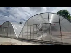 Drying Greenhouse with UV Protection and Ventilation for Herbs Vegetables and Fruits