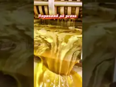 Машина масла мустарда машины прессы масла кукурузного масла промышленная с фильтром video