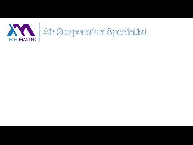 Customized Air Suspension System With Air Spring