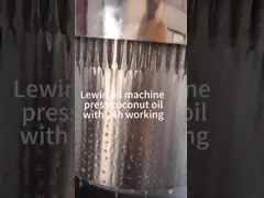 Дополнительная пресса рамки c машины гидравлической прессы масла семени виноградины девственницы промышленная video