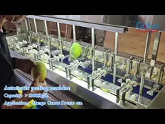 Mitsubishi PLC Apple Automatic Peeling Machine For Fruits And Vegetables Processing Lines SUS304