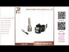 7135-575 Delphi Injector Repair Kit For 28231462 VW 1.2L Nozzle L363PRD Nozzle-Valve Kit