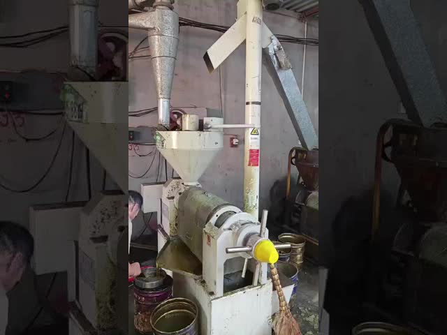 Máquina de produção de óleo de pequena capacidade