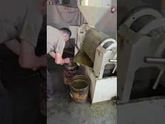 Small Capacity Oil Making Machine Automatic Electrical Cabinet Control  Cold Press