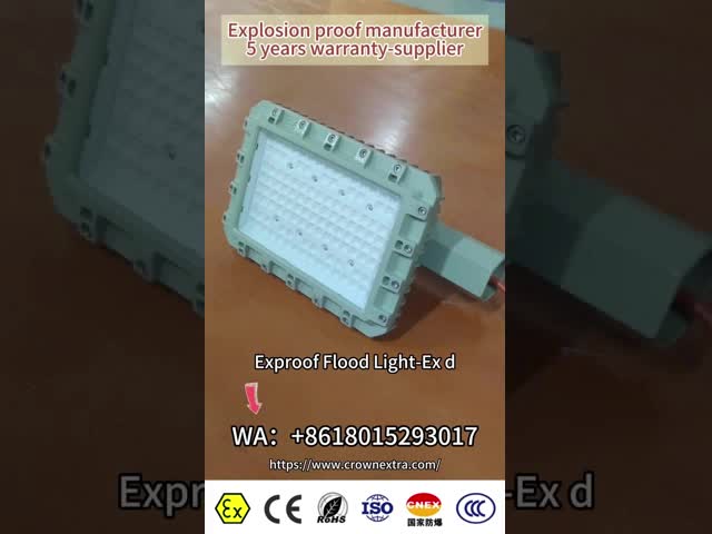 ATEX認定ExProof LEDストリートライト WF2 IP66 CREEビーズ ゾーン1 オイルフィールド/マリン 180lm/w 295≤V