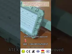 ATEX rated ExProof Street LED Lights WF2 IP66 CREE beads For Zone 1 Oilfield/Marine 180lm/w 295≤V