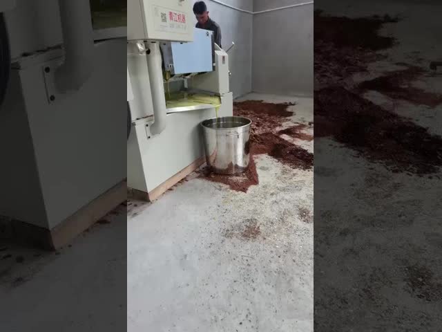 100kg Per Hour  Oil Mill Automatic Screw Oil Press Touch Screen Operation Oil Pressing