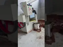 100kg Per Hour  Oil Mill Automatic Screw Oil Press Touch Screen Operation Oil Pressing