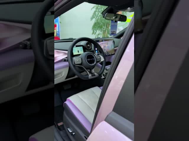 5ドア 5人座 2025 BYD EV デルフィンカー 401km Range SUV