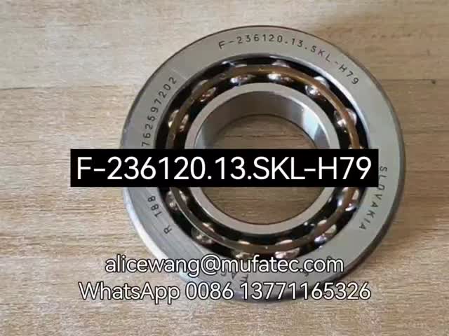 F-236120 F-236120.12.SKL-H79 BMW differential bearing special angular contact ball bearing 30.162*64.292*23mm