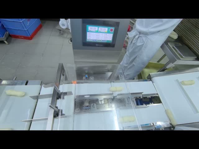 Combo Metal Detector and Checkweigher for Accurate Product Weight and Dimension Verification
