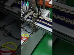 30ml Glass Dropper Essential Oil Bottle With Glass Dropper