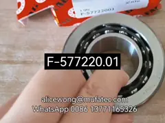 F-577220.01 Ford Escape Ford Edge Rear Axle Bearing Rear Differential Shaft Double Row Ball Bearings