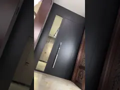 Painted Custom Sizes  Aluminum Garden Gate Door Aluminum Front Pivot Main Entrance Door