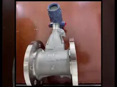 Rosemount Vortex Flow Meter (Actual Photo)