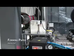 Single Use Paper Tableware Environmentally Friendly Paper Cups Customizable