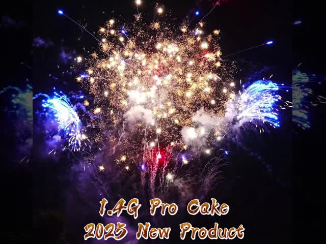 劉陽 マンダリン 200ショットケーキ 花火 屋外 1.4 プロケーキ  pirotechnics 新年 製造者 1000G 花火 2025