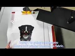 Maintop DTF Printer with Epson XP600 Print Head and Pigment Ink