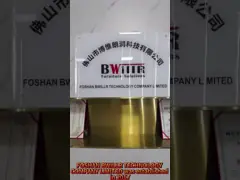 Company Introduction Video