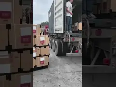 4D95 Diesel Engine Piston Ring 4 Cycles 6204-31-2200