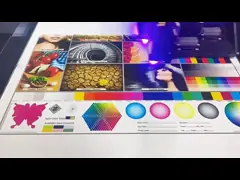 720x2400dpi CMYK Brother Print Head inkjet Digital UV Printer Desktop OEM