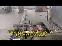 380v Automatic Tray Sealing Machine With Customized Sealing Area