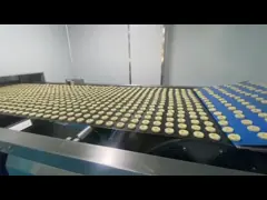 Continuous Mesh Belt Kilns Precision And Reliability For Your Industrial Needs