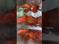 Компактные модели кухонного оборудования для ограниченного столешничного пространства 220 В фрайер video