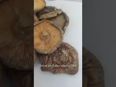 Dried Mushroom Stems Shiitake Mushroom For Cooking And Health