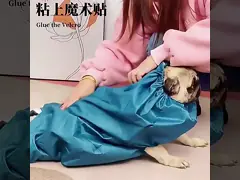 Pet drying bag blow Quick Drying Dog Drying Robe Hair Blowing Tool Quick Automatic Drying Hair Dryer