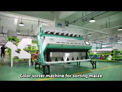 High Capacity 8 - 10ton Per Hour Wheat Grain Color Sorter Optical Color Sorter in China