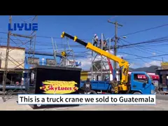 Dongfeng Boom Crane Truck Mounted Crane With 3.2 Tons Straight Boom Crane
