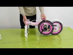 Girls Bike Sizes 12 Inch  14 Inch 16 Inch 18 Inch Children Bike For 3-9year Old