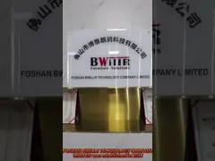 Company Introduction