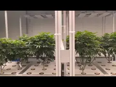 Hồ sơ đùn tản nhiệt nhôm 6061 cho máy làm mát nước / Bộ tản nhiệt điện / Công nghiệp tự động
