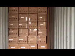 20ft COA Liquid Flexitank Shipping Container BLBD For Chemicals Packaging