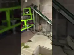 Automatic Mung Bean Coffee Bean Soybean Color Sorting Machine Grain Color Sorter