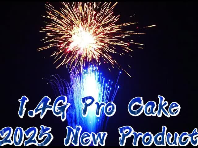 200ショット 新品 1.4 プロライン 花火 クリスマスイベント&パーティー パーティー 1000Gケーキ 花火 ピロテクニック