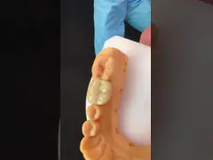 Translucency Zirconia Dental Inlay Onlay Crown For Restore Natural Cavity Shape / Standard Dental Lab