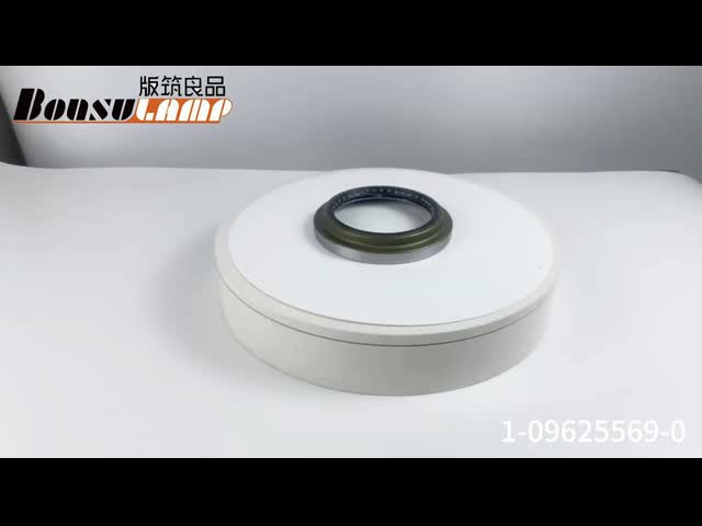 Wheel Hub Oil Seal 1-09625569-0 1096255690 ISUZU FSR SBR Parts