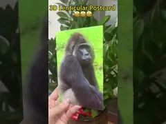 Participation and Donation Options 3D Card with Lenticular Printing
