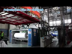 Blue Whale dry bulk container liner for power rice rubber 20ft 40ft PE/PP film