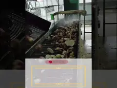 China Agriculture  Cassava Processing Desand Machine Cassava Starch Production Lines supplier