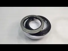 Mechanical Seal Gw Washing Machine Seal Counterface Gcs Gulliver Grandimpianti