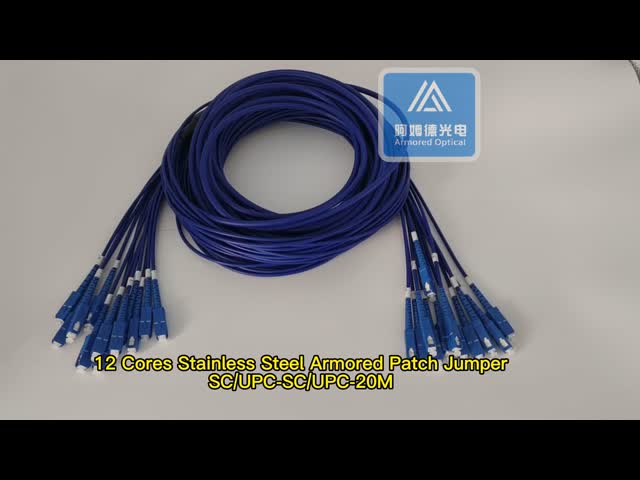 12 Cores Stainless Steel Armored Patch Cord SC-SC-30m Blue PVC 5.0mm Rodent Resistant
