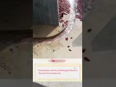 Customized Cassava Flour Equipment / Cassava Flour Manufacturing  for Dry Process