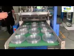 China Full Automatic Egg Plastic Tray Making Machine Plastic Fruit Boxes Plastic Thermoforming Machine supplier