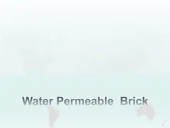 AAA Grade Pervious Water Permeable Brick Paving for Heat Insulation and Water Permeability