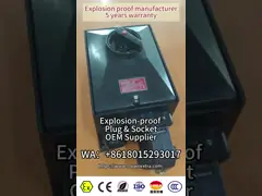 ATEX GRP 4p Explosion Proof Plug And Socket 16A 32A 63A